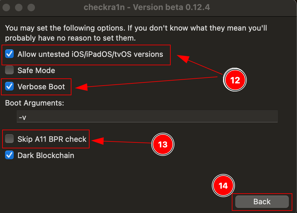 checkra1n Options